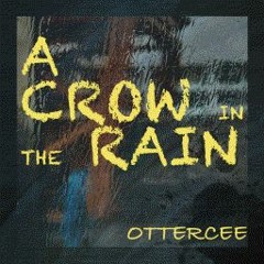 A Crow In The Rain