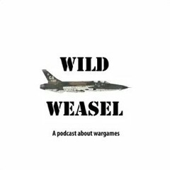 Wild Weasel 19
