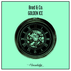 Golden Ice (Nu Ground Foundation US Garage Cut)