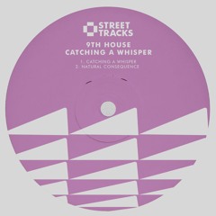 9th House - Natural Consequence [clip]