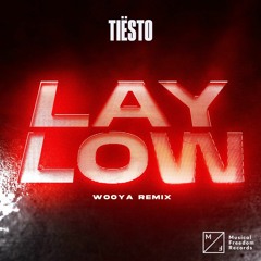 Tiesto - Lay Low (Wooya Remix)