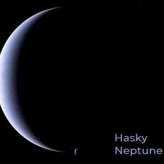 Hasky_-_Neptun