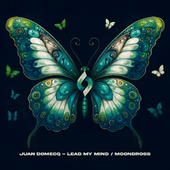 Juan Domecq - Lead My Mind [Journey of the Soul]