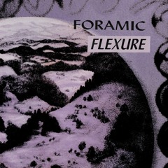 Foramic - Flexure
