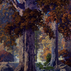 TREE5