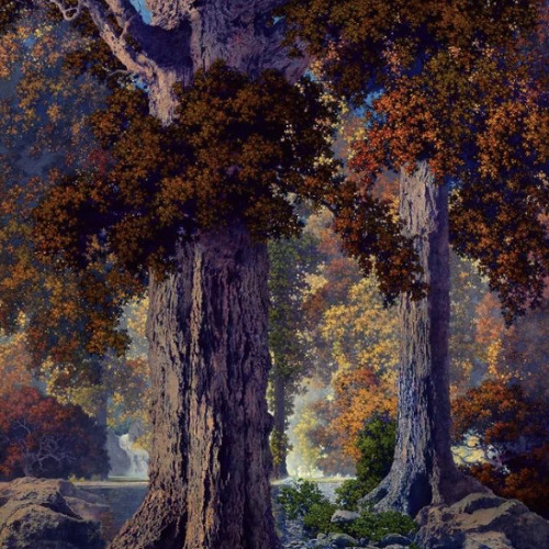 TREE5