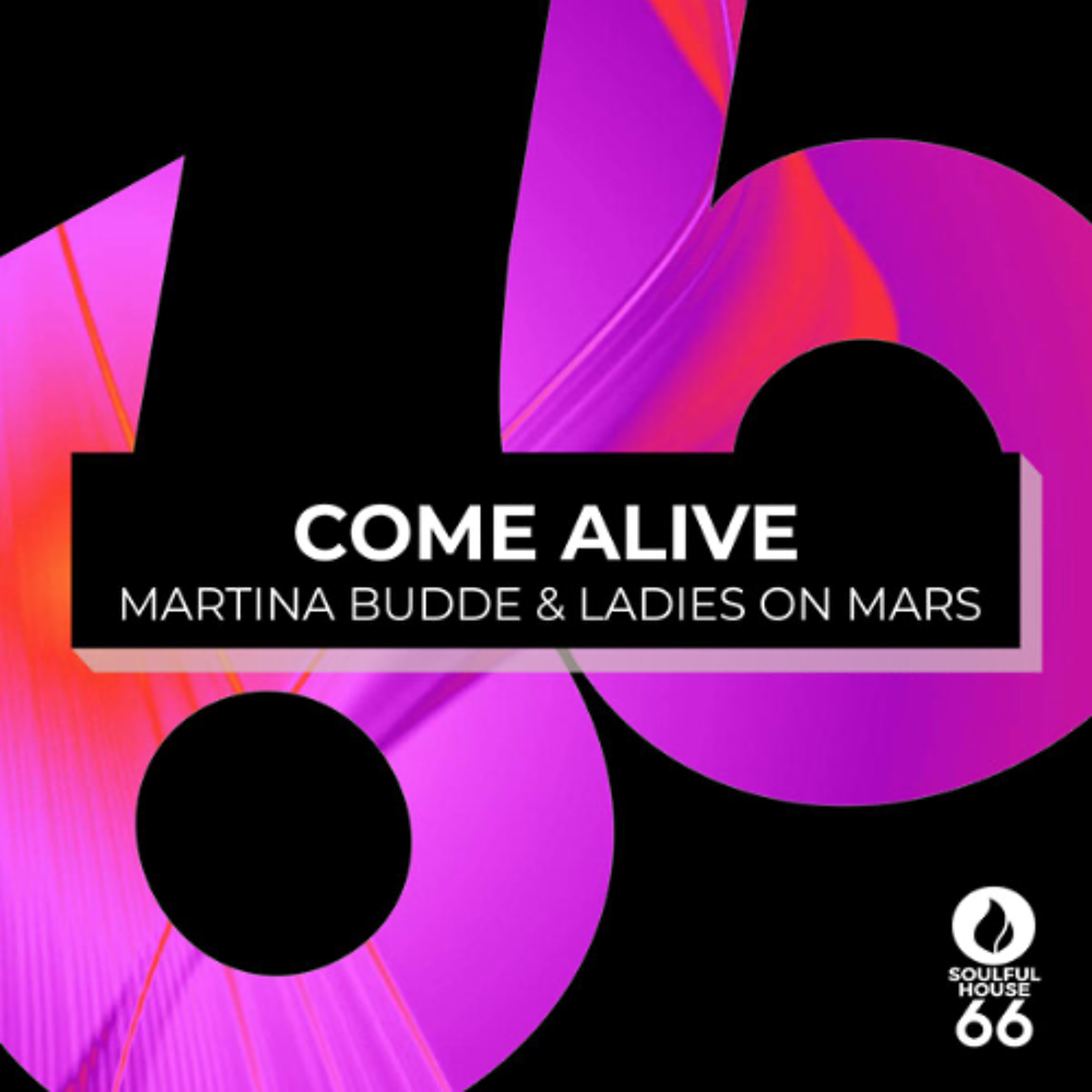 Come Alive (Original Mix) [SoulFul House 66] episode artwork