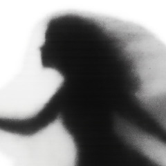 Chasing Shadows
