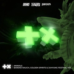 Martin Garrix - Animals (Barend Rauch, Golden Spirits & JuHyung Festival Mix)