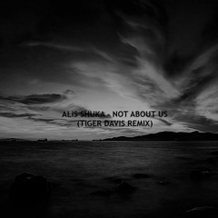 Alis Shuka - Not About Us (Tiger Davis remix)