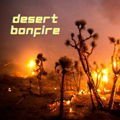 desert bonfire