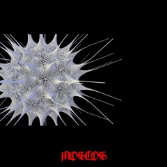 Entropy [FREE DOWNLOAD]