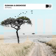 SUNANA & BigNoise - Afraic