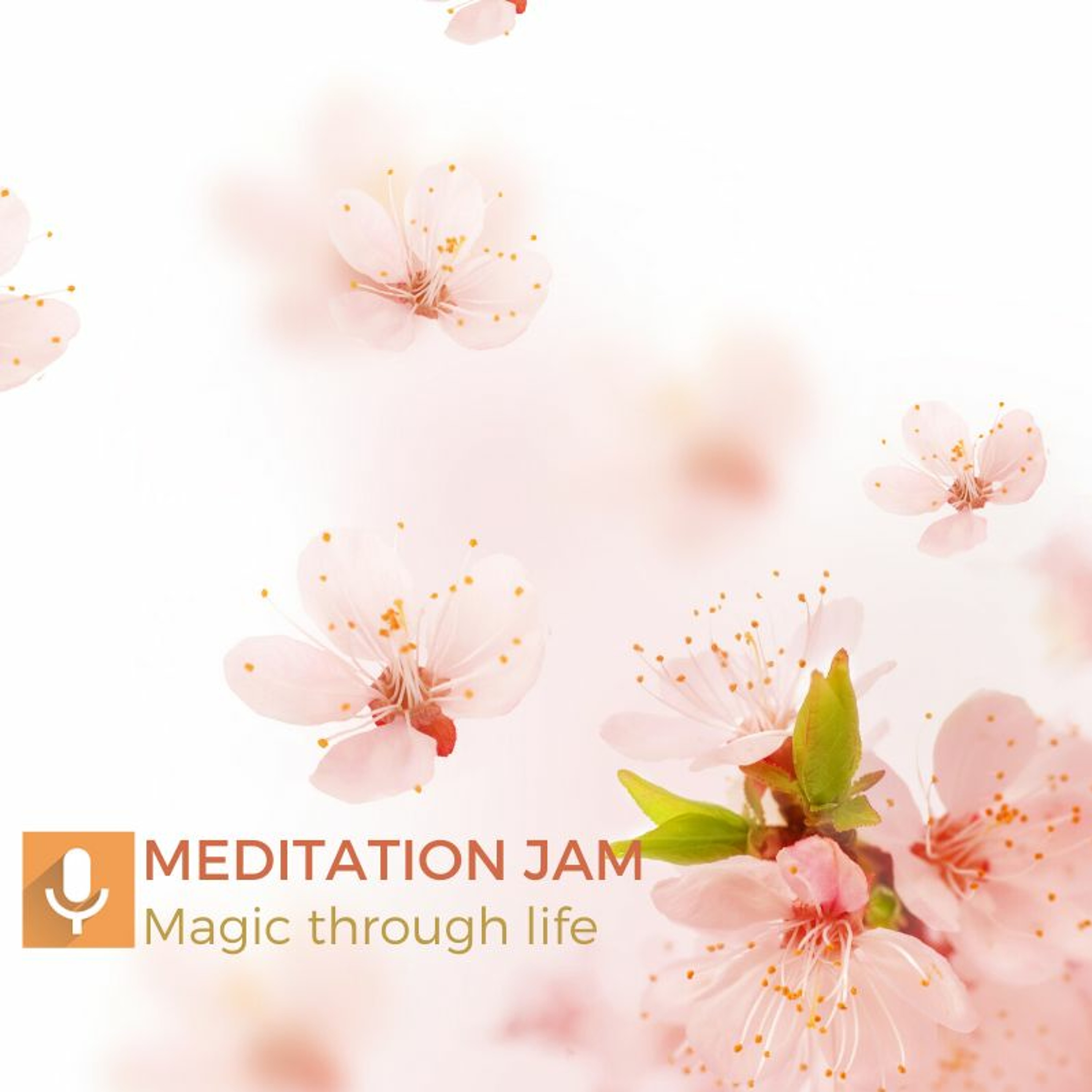 Meditation Jam with Maria Rinné, Igniting guided meditations, guests and life!
