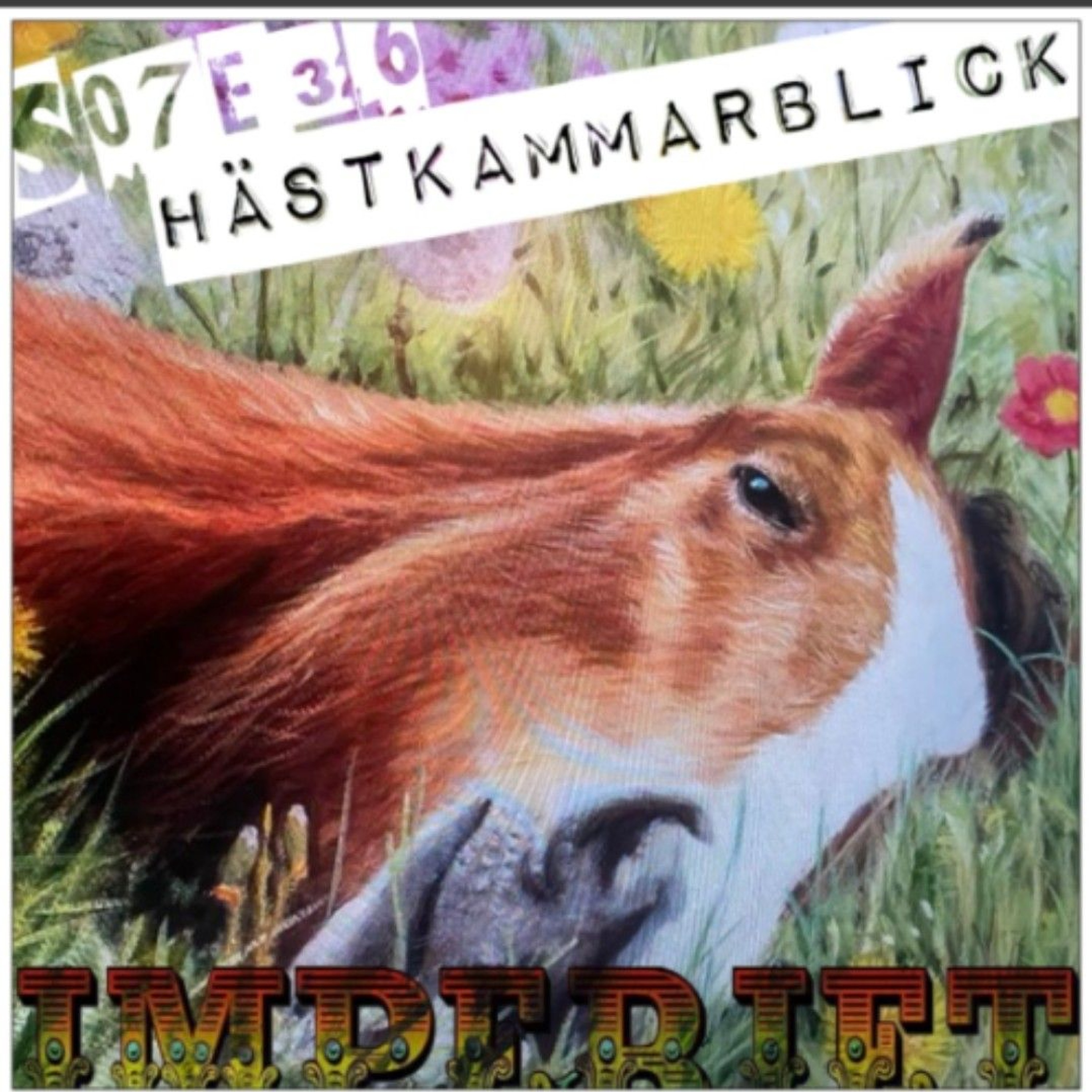 Imperiet Podcast - Ogooglade sanningar
