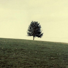 spleen (instrumental)