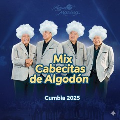 MIX CABECITAS DE ALGODON CUMBIA 2025