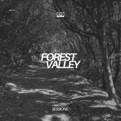 BTR Productions - Forest Valley