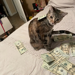 Kodex Shuffle(SC Exclusive)