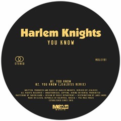 PREMIERE: Harlem Knights - You Know (JealDiss Remix) [Mole Music]
