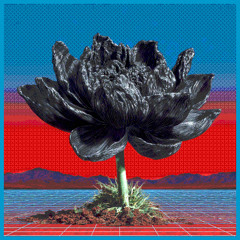 Black Lotus