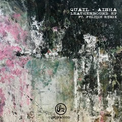 Premiere: Quail & AISHA "Hidden Form" - Soma