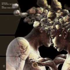 Ishan (SL) - We Control The Dark (Hernan Torres Remix) [Sounds And Frequencies Recordings]