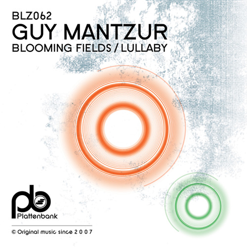 Blooming Fields