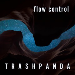 Trash Panda / TP038 / Flow Control [Vinyasa Yoga Live] @ Beauty On The Inside / 2019-11-03