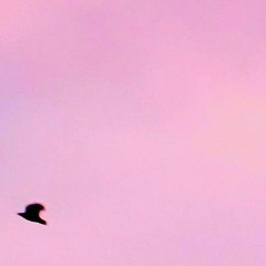 MemoryRacer _Take Off