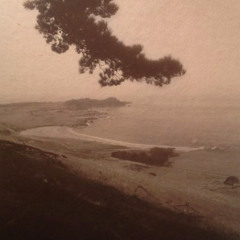 since i saw vienna (cover) (demo)