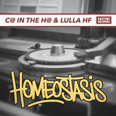 01 Homeostasis