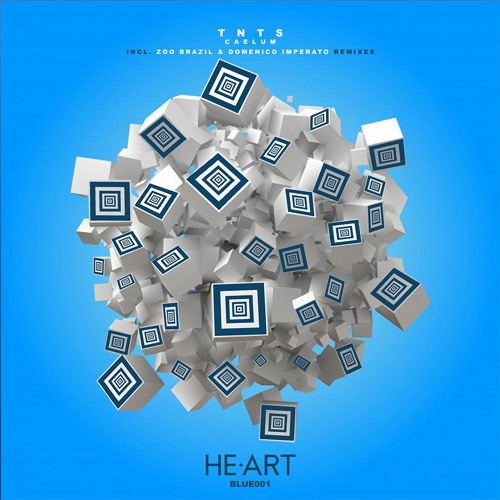 Premiere: TNTS - Caelum (Domenico Imperato Remix) [He-Art Blue]
