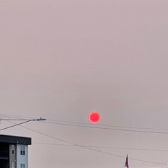 Elsewhere
