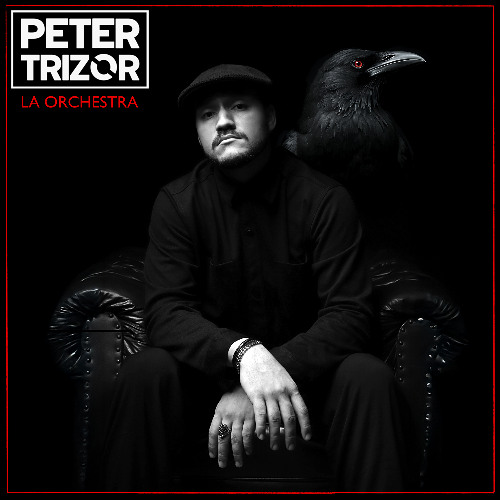 Transformation - Peter Trizor