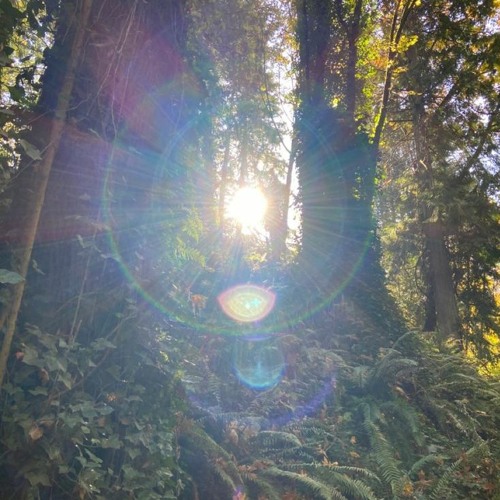 CLIPS MADE IN THE LAST 24 HOURS (DEC 2023)