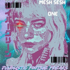 Mesh Sesh 1: Junglistic Footise Freak
