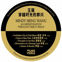 Mindy Meng Wang 王萌 - Dimensions Of A Strange Land  异境