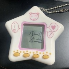 tamagochi + Sqwore