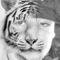 Swerve Erv ft. NikkyV