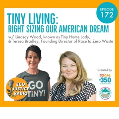 The Tiny Home Movement: A Solution to the Housing Crisis?
