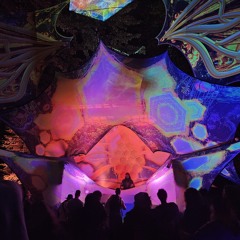 Maezism@Future Forest 2024- Nest Stage