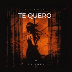 Te quero - Dj Eden .mp3