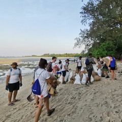 Something Slow  |  Andaman Cleanup