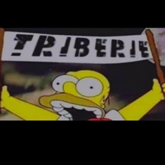 Triberie chez Redako