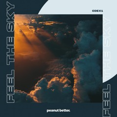 CDEX1 - Feel The Sky