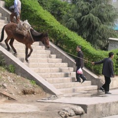 Back In The Saddle - UKG