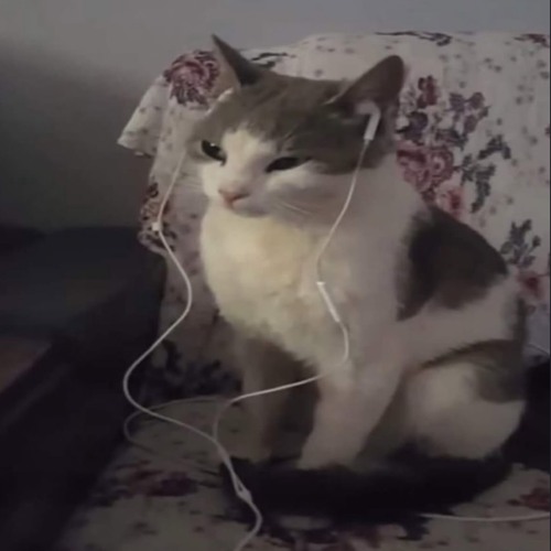 I wrote this for you at 4am when i couldn’t sleep