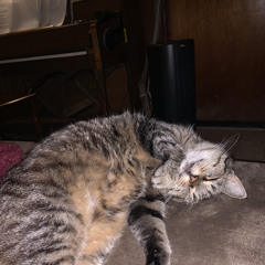 Time Maidens’s GrandVisages 3