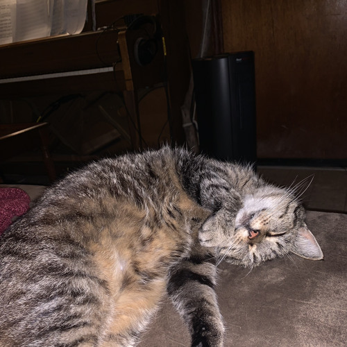 Time Maidens’s GrandVisages 3